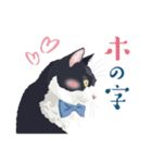 おもしろ昭和コトバをしゃべる猫 ♪（個別スタンプ：4）