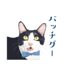 おもしろ昭和コトバをしゃべる猫 ♪（個別スタンプ：5）