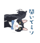 おもしろ昭和コトバをしゃべる猫 ♪（個別スタンプ：7）