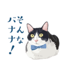 おもしろ昭和コトバをしゃべる猫 ♪（個別スタンプ：11）