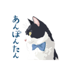 おもしろ昭和コトバをしゃべる猫 ♪（個別スタンプ：12）