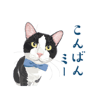 おもしろ昭和コトバをしゃべる猫 ♪（個別スタンプ：14）