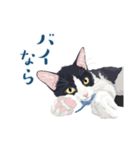 おもしろ昭和コトバをしゃべる猫 ♪（個別スタンプ：15）