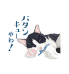 おもしろ昭和コトバをしゃべる猫 ♪（個別スタンプ：16）