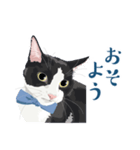 おもしろ昭和コトバをしゃべる猫 ♪（個別スタンプ：17）
