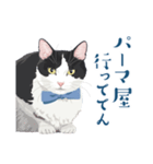 おもしろ昭和コトバをしゃべる猫 ♪（個別スタンプ：20）