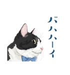 おもしろ昭和コトバをしゃべる猫 ♪（個別スタンプ：21）