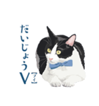 おもしろ昭和コトバをしゃべる猫 ♪（個別スタンプ：23）