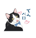 おもしろ昭和コトバをしゃべる猫 ♪（個別スタンプ：24）