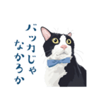 おもしろ昭和コトバをしゃべる猫 ♪（個別スタンプ：26）