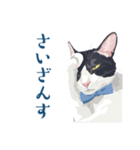 おもしろ昭和コトバをしゃべる猫 ♪（個別スタンプ：28）