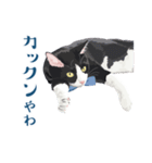 おもしろ昭和コトバをしゃべる猫 ♪（個別スタンプ：29）