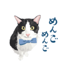 おもしろ昭和コトバをしゃべる猫 ♪（個別スタンプ：30）