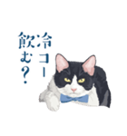 おもしろ昭和コトバをしゃべる猫 ♪（個別スタンプ：31）