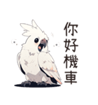 白いオウム（中国語）（個別スタンプ：9）