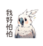 白いオウム（中国語）（個別スタンプ：15）