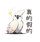 白いオウム（中国語）（個別スタンプ：16）