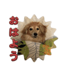 鬼カワダックス犬ココちゃんスタンプ その1（個別スタンプ：19）