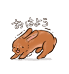 うさぎのららとちゃちゃまる（個別スタンプ：12）