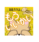 動く！飛び出す！かわいい動物たち5（個別スタンプ：11）