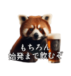 ⚫飲みたがりアライグマ～飲みに誘う～（個別スタンプ：10）