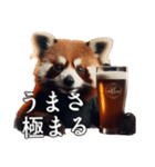 ⚫飲みたがりアライグマ～飲みに誘う～（個別スタンプ：19）