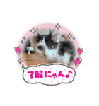 たのしい名場面集（個別スタンプ：4）