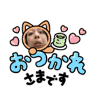 たのしい名場面集（個別スタンプ：15）
