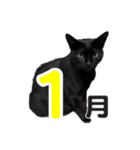 黒猫ぐー姫のカレンダー（月と春夏秋冬）（個別スタンプ：1）