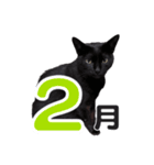 黒猫ぐー姫のカレンダー（月と春夏秋冬）（個別スタンプ：2）