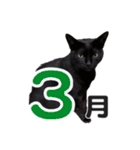 黒猫ぐー姫のカレンダー（月と春夏秋冬）（個別スタンプ：3）