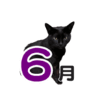 黒猫ぐー姫のカレンダー（月と春夏秋冬）（個別スタンプ：6）