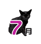 黒猫ぐー姫のカレンダー（月と春夏秋冬）（個別スタンプ：7）