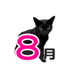 黒猫ぐー姫のカレンダー（月と春夏秋冬）（個別スタンプ：8）
