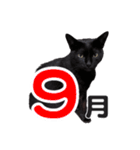 黒猫ぐー姫のカレンダー（月と春夏秋冬）（個別スタンプ：9）