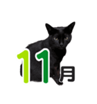 黒猫ぐー姫のカレンダー（月と春夏秋冬）（個別スタンプ：11）