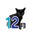 黒猫ぐー姫のカレンダー（月と春夏秋冬）（個別スタンプ：12）