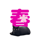黒猫ぐー姫のカレンダー（月と春夏秋冬）（個別スタンプ：13）