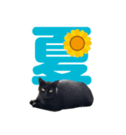黒猫ぐー姫のカレンダー（月と春夏秋冬）（個別スタンプ：14）