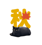 黒猫ぐー姫のカレンダー（月と春夏秋冬）（個別スタンプ：15）