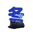 黒猫ぐー姫のカレンダー（月と春夏秋冬）（個別スタンプ：16）