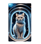 BIG宇宙の中の猫（個別スタンプ：4）