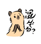 馴染みのお店に質問する猫（鳥獣戯画風）（個別スタンプ：3）