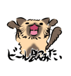 馴染みのお店に質問する猫（鳥獣戯画風）（個別スタンプ：4）