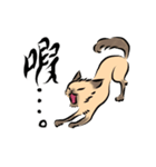 馴染みのお店に質問する猫（鳥獣戯画風）（個別スタンプ：7）