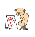 馴染みのお店に質問する猫（鳥獣戯画風）（個別スタンプ：9）