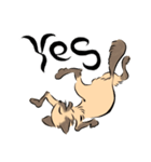 馴染みのお店に質問する猫（鳥獣戯画風）（個別スタンプ：14）