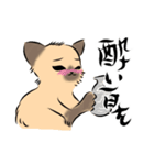 馴染みのお店に質問する猫（鳥獣戯画風）（個別スタンプ：16）