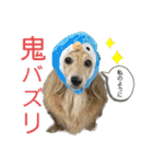 鬼カワダックス犬ココちゃんスタンプ（個別スタンプ：9）