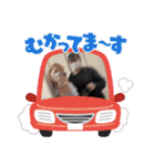 我等友情永久不滅！にゃんこさんちーむ（個別スタンプ：9）